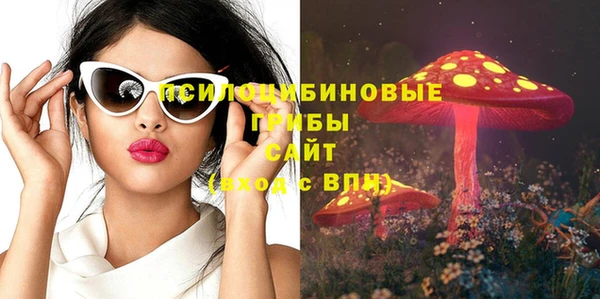 альфа пвп Медногорск