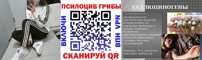 это телеграм  Усть-Катав  Псилоцибиновые грибы ЛСД 